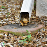 How Gutter Guards Save Your Drainage System